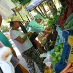 FERIAS DE LA CIUDAD: NUEVO RECORRIDO SEMANALCON PRODUCTOS DE CALIDAD Y A PRECIOS CONVENIENTES