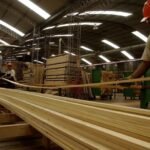 LA INDUSTRIA FORESTAL PROFUNDIZA SU RECONVERSIÓN ANTE LA BAJA DEMANDA
