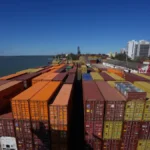 PLANTA DE CLT: LOS DETALLES DE LA LOGÍSTICA PARA LA LLEGADA DE 50 CONTENEDORES Y CÓMO SERÁ SU TRASLADO A VIRASORO